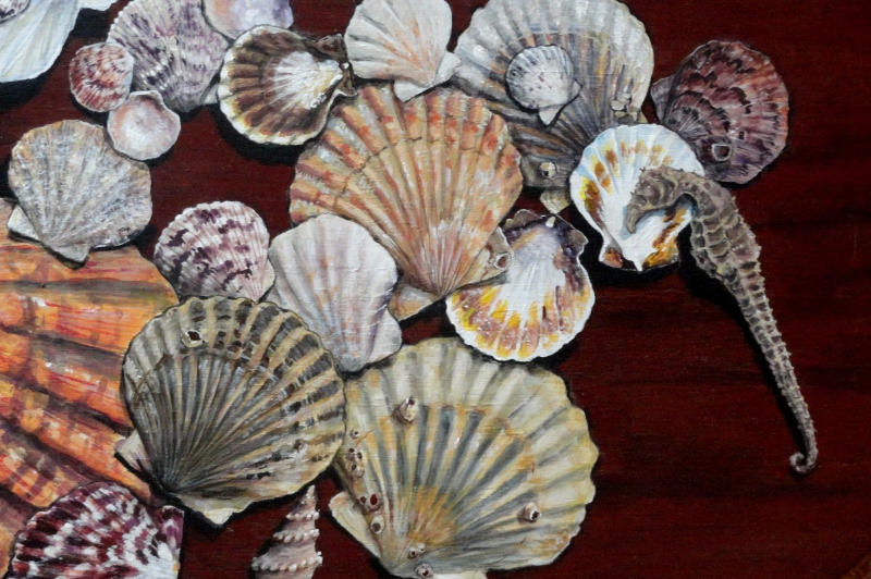 Seashell Tray