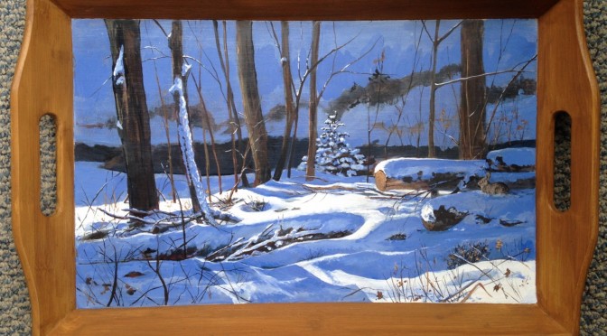 February Sun on Snow Tray