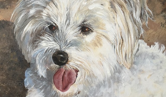 Dog Portrait Toby at the Beach