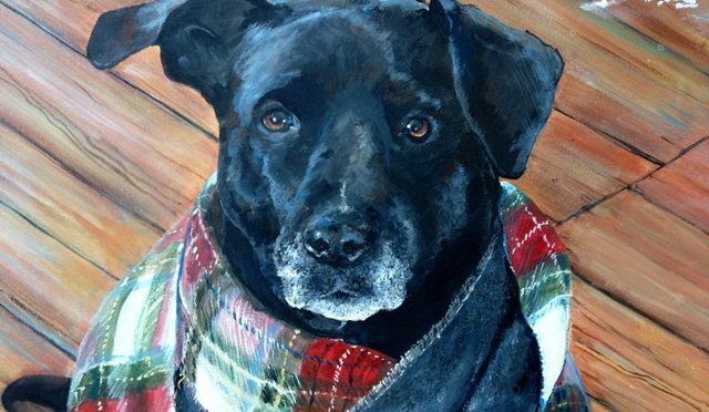 Dog Portrait: Barney with a Scarf