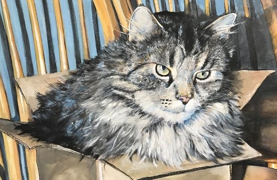 Cat in the Box Portrait