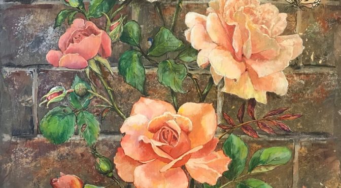 Peach Roses Climbing Brick Wall on Slate