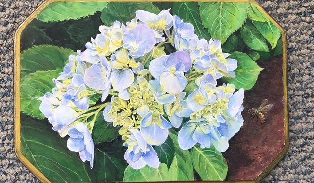 Hydrangea Inspiration