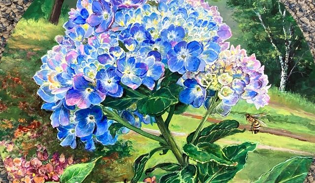 Late Bloomer Hydrangea