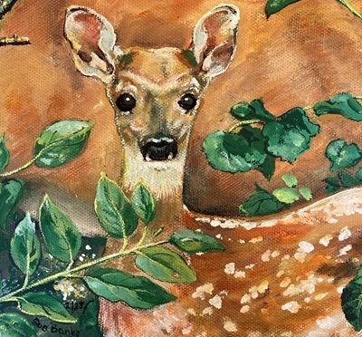 Fawn: Feeling Safe
