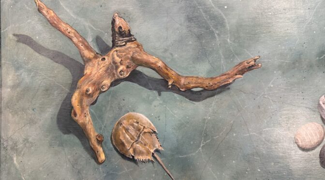 Driftwood and Stones table