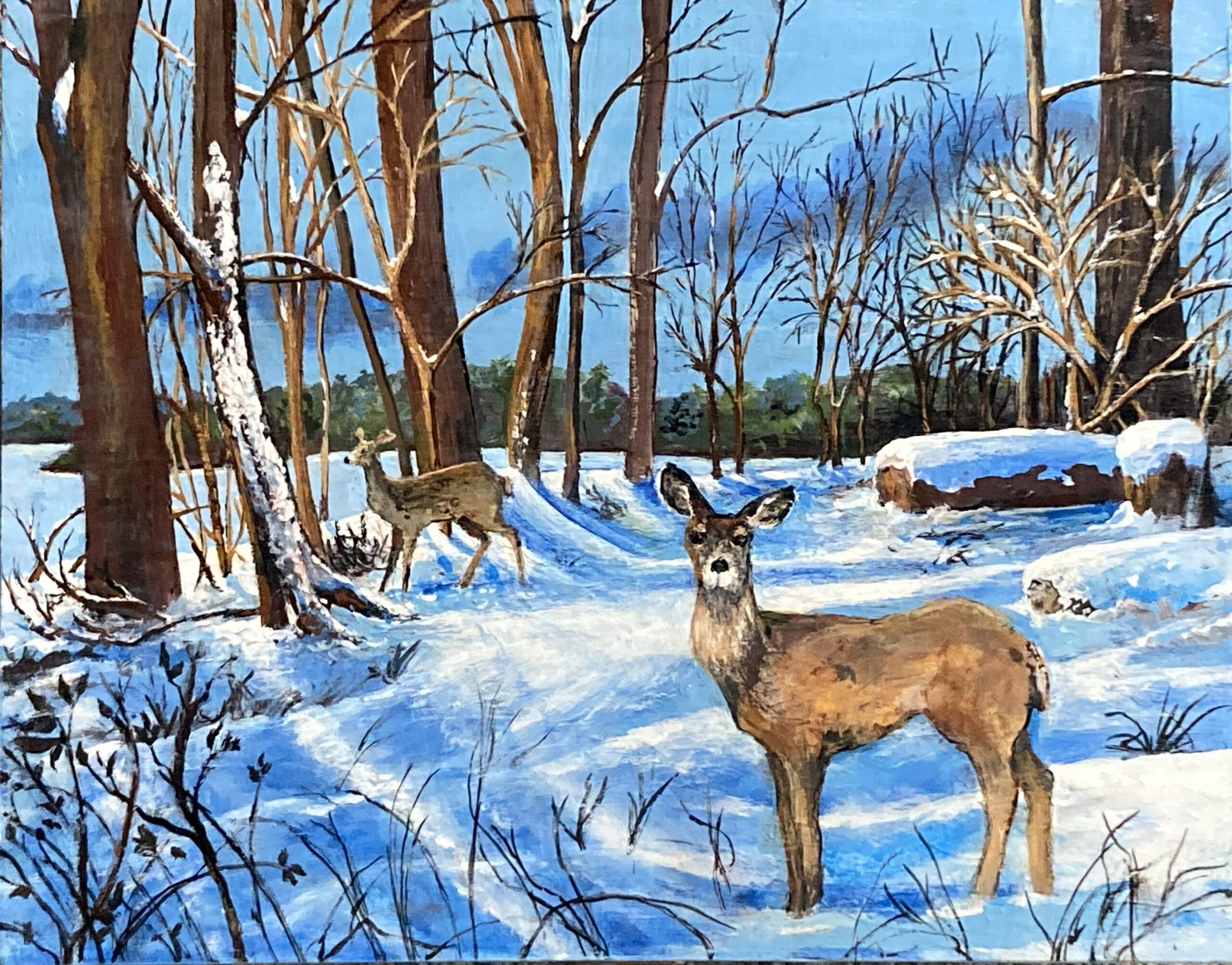 Deer in the Snow Box