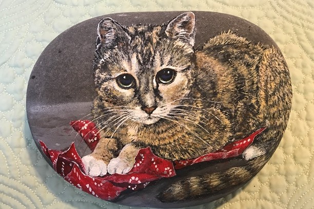 Cat With Red Wrapping Paper on a stone