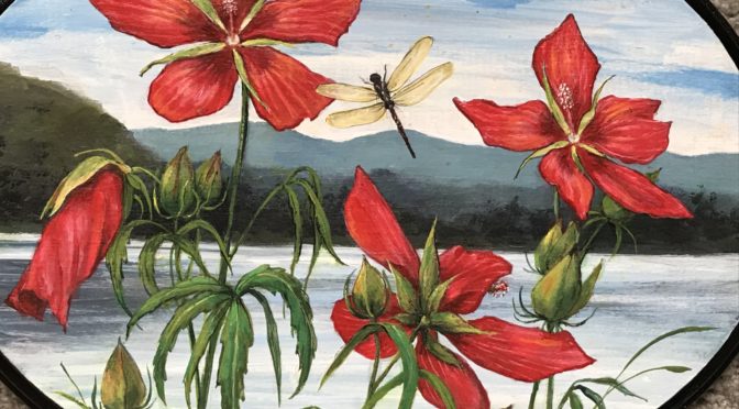 Hibiscus at Mt Fuji Plaque