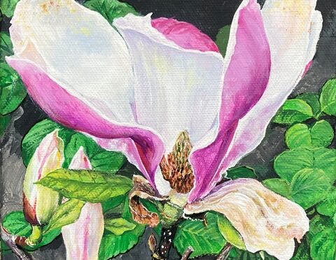 Magnolia Square on Canvas